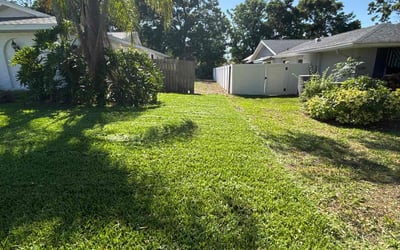 Photo of Ross M.'s yard after getting lawn care in Palm Harbor, FL
