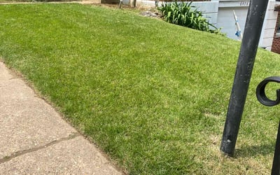 Photo of Rebecca M.'s yard after getting lawn care in Mentor, OH
