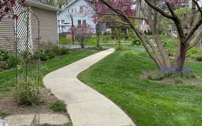 Photo of Mike G.'s yard after getting lawn care in Barrington, IL