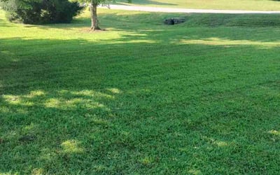 Photo of Cameron H.'s yard after getting lawn care in La Follette, TN