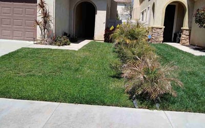 Photo of debbie H.'s yard after getting lawn care in Beaumont, CA