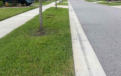 Photo of Natalie V.'s yard after getting lawn care in Dayton, OH