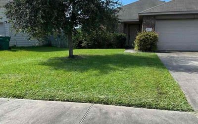 Photo of Tony S.'s yard after getting lawn care in Harvey, LA