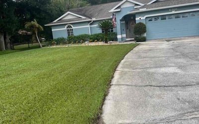 Photo of Marissa O.'s yard after getting lawn care in Carrollwood, FL