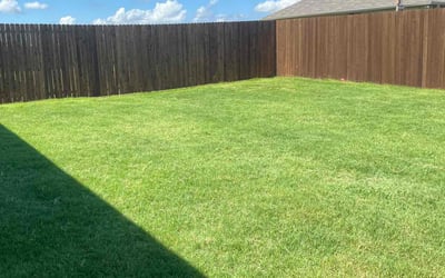 Photo of Teresa H.'s yard after getting lawn care in Reston, VA