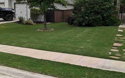 Photo of Cindy L.'s yard after getting lawn care in Wichita Falls, TX