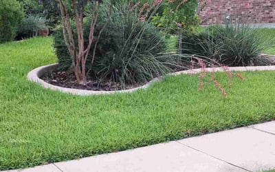 Photo of Kate V.'s yard after getting lawn care in Addison, TX