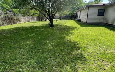 Photo of Dartanya D.'s yard after getting lawn care in Von Ormy, TX