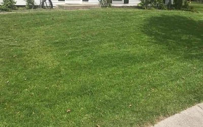Photo of Chris R.'s yard after getting lawn care in Columbia, MD
