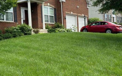Photo of Catherine M.'s yard after getting lawn care in Woodbridge, VA
