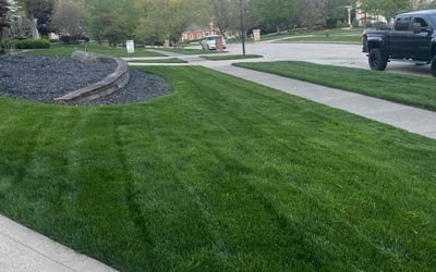 Photo of Tiffany M.'s yard after getting lawn care in Broadview Heights, OH