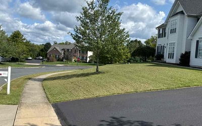 Photo of Kimmberly Z.'s yard after getting lawn care in Oxford, PA