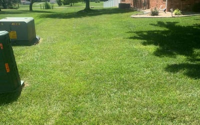Photo of Jeff T.'s yard after getting lawn care in Alton, IL