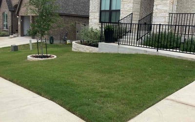 Photo of Stacie S.'s yard after getting lawn care in Atascosa, TX