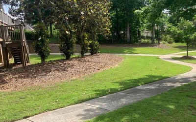 Photo of Cora Z.'s yard after getting lawn care in Port St. Lucie, FL