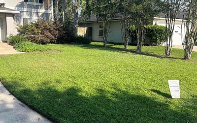 Photo of Brittany C.'s yard after getting lawn care in Largo, FL