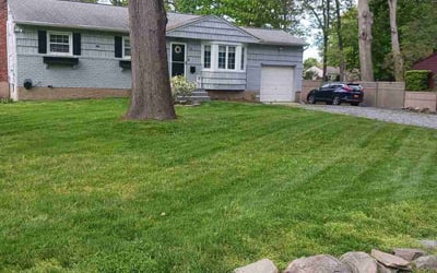 Photo of Stephen J.'s yard after getting lawn care in Rockville Centre, NY