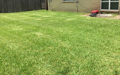 Photo of Glenn H.'s yard after getting lawn care in Apache Junction, AZ