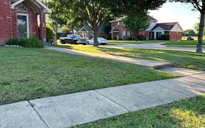 Photo of Keisha W.'s yard after getting lawn care in Harlingen, TX