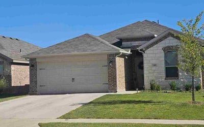 Photo of Hanne R.'s yard after getting lawn care in Oldsmar, FL