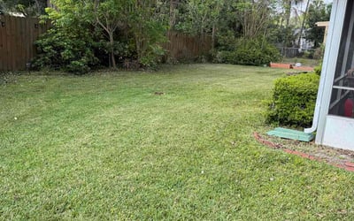 Photo of Darrell P.'s yard after getting lawn care in Lakeland, FL