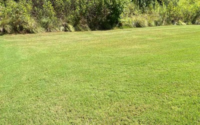 Photo of Joshua C.'s yard after getting lawn care in Woodruff, SC