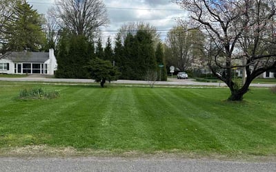 Photo of Dalton P.'s yard after getting lawn care in Clarksville, IN