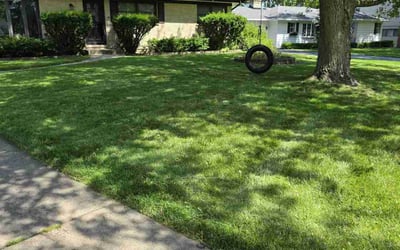 Photo of Xihong Y.'s yard after getting lawn care in Roselle, IL