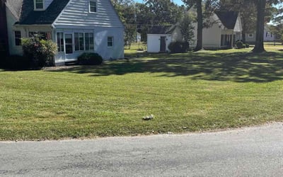 Photo of Richard H.'s yard after getting lawn care in Henrico, VA