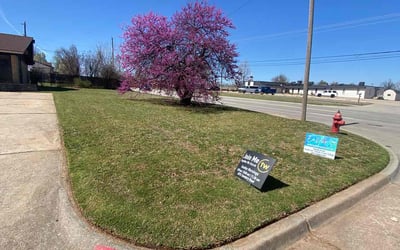 Photo of Tiffany L.'s yard after getting lawn care in Moreno Valley, CA