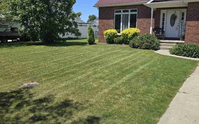 Photo of Sheila E.'s yard after getting lawn care in Lancaster, NY