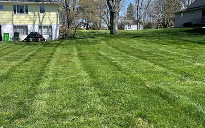 Photo of Galen L.'s yard after getting lawn care in Tallmadge, OH
