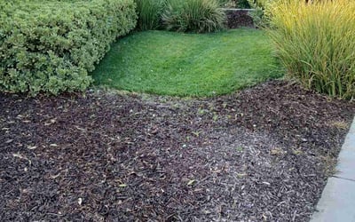 Photo of Megan M.'s yard after getting lawn care in Hemet, CA