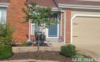 Photo of Chris F.'s yard after getting lawn care in Scranton, PA