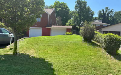 Photo of Nicole J.'s yard after getting lawn care in Stockbridge, GA