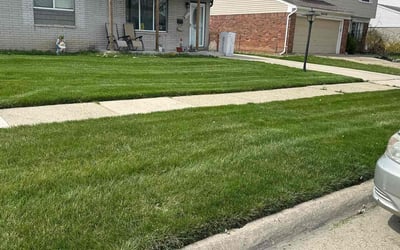 Photo of Elaine D.'s yard after getting lawn care in Madison Heights, MI