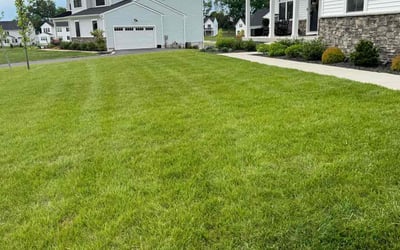 Photo of Ted M.'s yard after getting lawn care in Souderton, PA