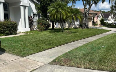 Photo of Lynn H.'s yard after getting lawn care in Largo, FL