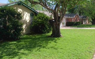 Photo of Claudia H.'s yard after getting lawn care in Elgin, IL