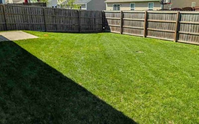 Photo of Danielle M.'s yard after getting lawn care in Greencastle, IN
