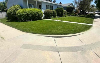 Photo of P.G. R.'s yard after getting lawn care in Pleasanton, TX