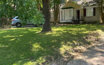Photo of Janice T.'s yard after getting lawn care in Montgomery, AL