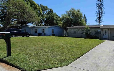 Photo of Cindy A.'s yard after getting lawn care in Largo, FL