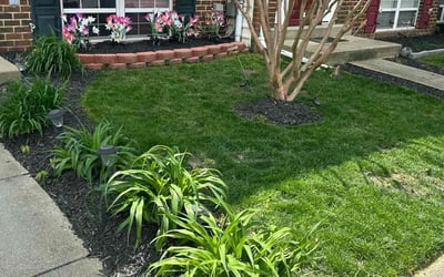 Photo of Charity M.'s yard after getting lawn care in La Plata, MD