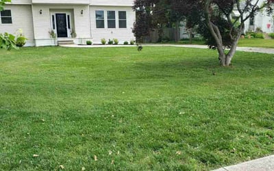 Photo of Lolita H.'s yard after getting lawn care in Cherry Hill, NJ