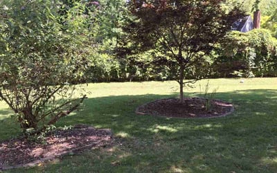 Photo of Joann B.'s yard after getting lawn care in Franklinton, NC