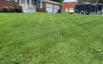 Photo of Ulrike P.'s yard after getting lawn care in Knoxville, TN