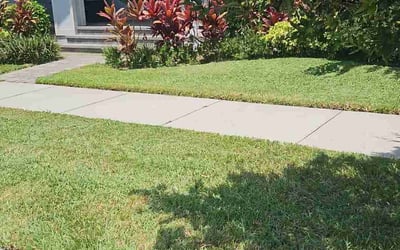 Photo of Brandon N.'s yard after getting lawn care in Franklin Square, NY