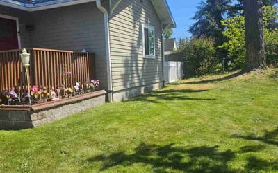 Photo of Christopher F.'s yard after getting lawn care in North Charleston, SC