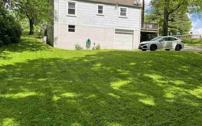 Photo of Hyo L.'s yard after getting lawn care in Nashville, TN
